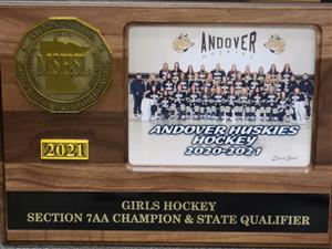 Girls Hockey Section 7AA Champion State Qualifier